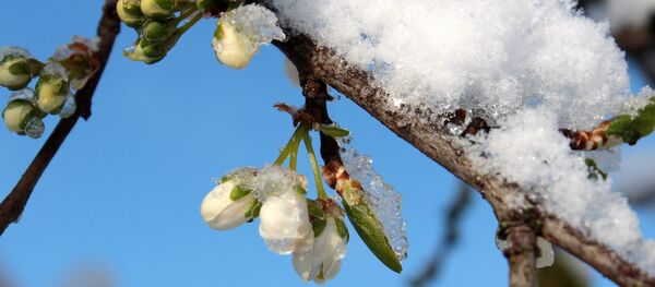 Снег весной - Sputnik Беларусь