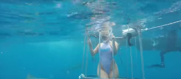 Порноактрису укусила акула во время съемок в США - Sputnik Беларусь