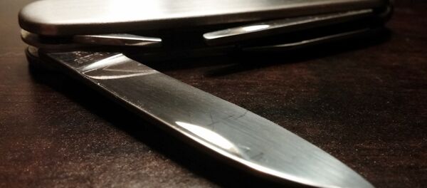 Перочинный нож, архивное фото - Sputnik Беларусь