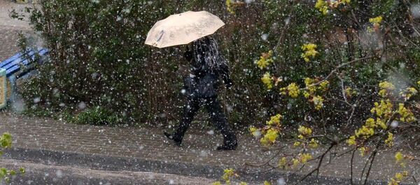 Снег в мае в Минске - Sputnik Беларусь