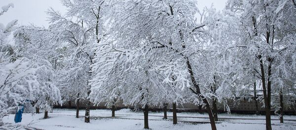 Снег у маі Снег у маі - Sputnik Беларусь