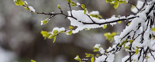 Снег у маі - Sputnik Беларусь