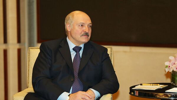 Президент Беларуси Александр Лукашенко во время встречи, 15 мая 2017 года - Sputnik Беларусь