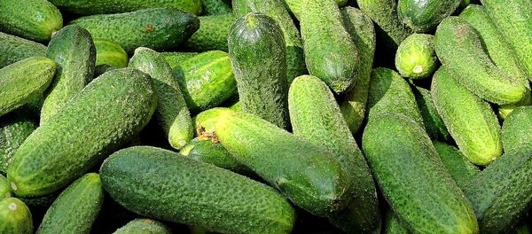 Цены на выращенные в закрытом грунте огурцы и помидоры если и поднимутся, то незначительно - Sputnik Беларусь