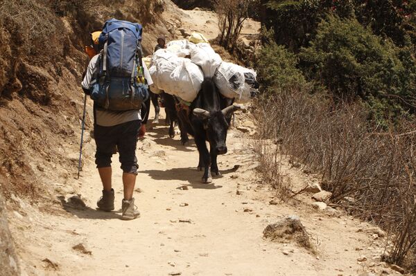 В такие путешествия надо ехать готовым к трудностям – и моральным, и физическим - Sputnik Беларусь