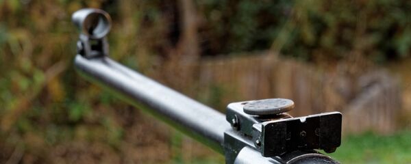 Пневматическая винтовка, архивное фото - Sputnik Беларусь