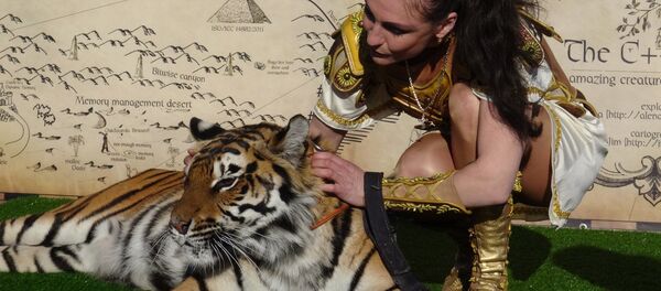 Видеофакт: тигрица появилась в одном из столичных ресторанов - Sputnik Беларусь