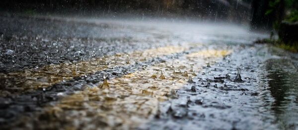 Дождь, архивное фото Дождь, архивное фото - Sputnik Беларусь