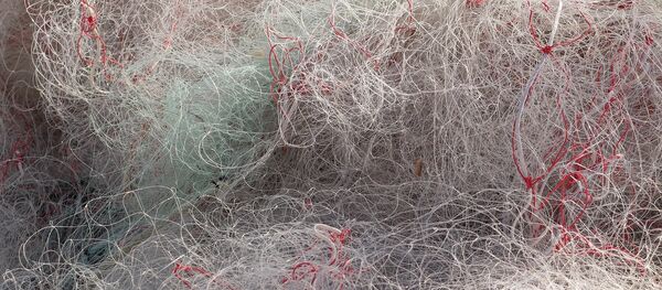 Рыболовная сеть, архивное фото - Sputnik Беларусь