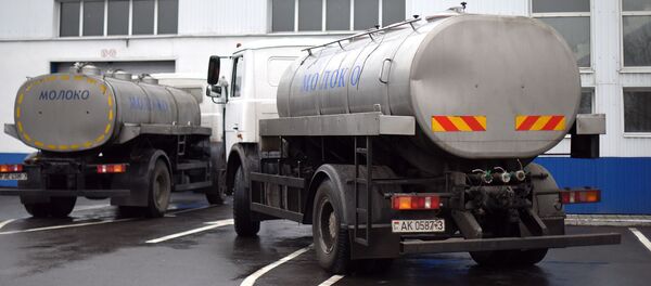 Молоковозы возле завода Милкавита - Sputnik Беларусь