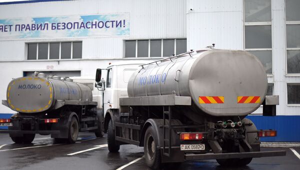 Молоковозы возле завода Милкавита - Sputnik Беларусь