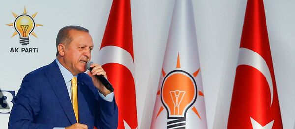 Президент Турции Тайип Эрдоган избран на пост председателя правящей Партии справедливости и развития - Sputnik Беларусь