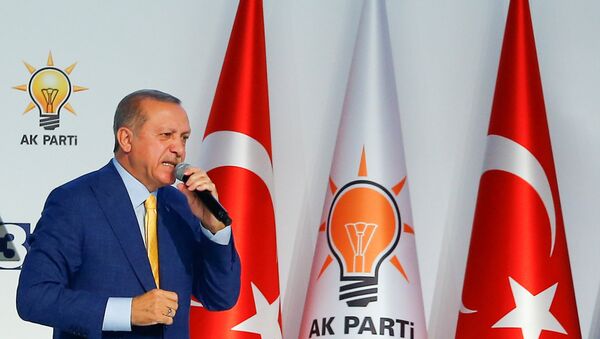 Президент Турции Тайип Эрдоган избран на пост председателя правящей Партии справедливости и развития - Sputnik Беларусь