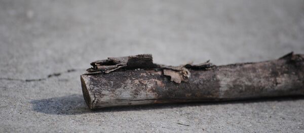 Палка, архивное фото - Sputnik Беларусь