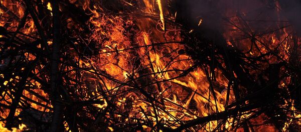 Огонь, архивное фото - Sputnik Беларусь