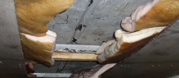 Спрятанное в машине сало - Sputnik Беларусь