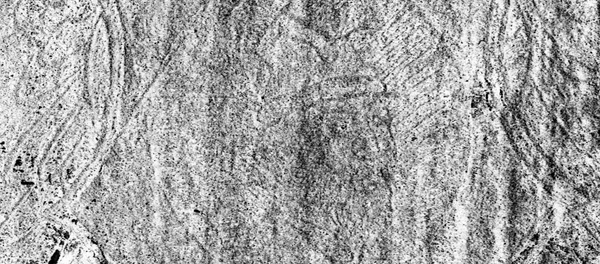 Адзіны прыжыццёвы партрэт Івана Грознага Адзіны прыжыццёвы партрэт Івана Грознага - Sputnik Беларусь