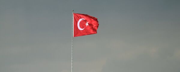 Флаг Турции, архивное фото - Sputnik Беларусь
