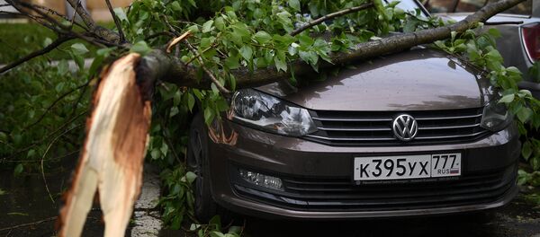 Последствия урагана в Москве Последствия урагана в Москве - Sputnik Беларусь