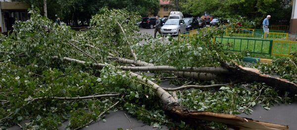 Последствия урагана в Москве - Sputnik Беларусь