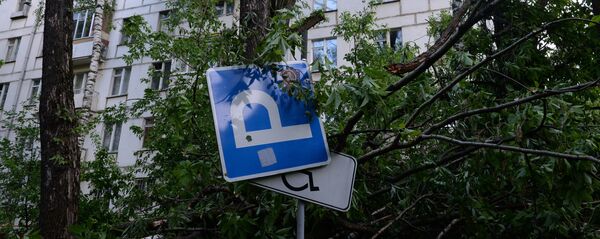 Последствия урагана в Москве - Sputnik Беларусь
