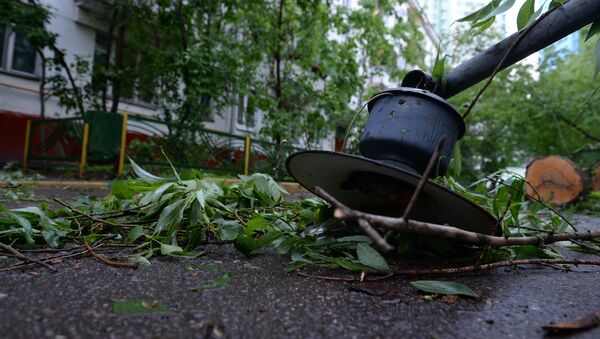 Последствия урагана в Москве - Sputnik Беларусь