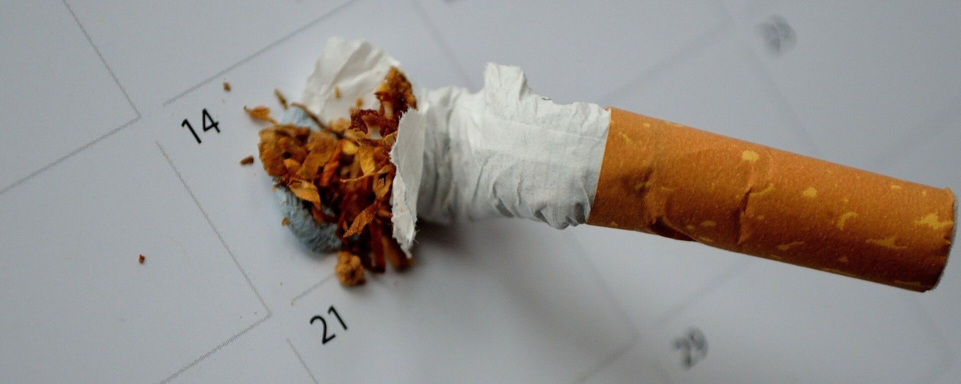 Сломанная сигарета - Sputnik Беларусь, 1920, 31.05.2017