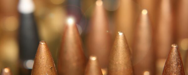 Патроны, архивное фото - Sputnik Беларусь