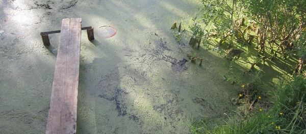 Фото с места трагедии в Бешенковичском районе - Sputnik Беларусь