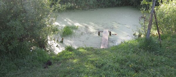 Пруд, в котором утонул ребенок - Sputnik Беларусь