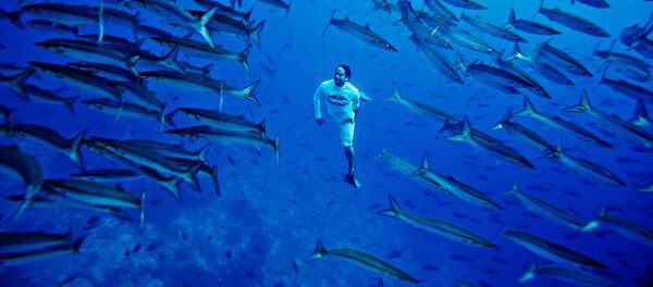 Ныряльщик - Sputnik Беларусь