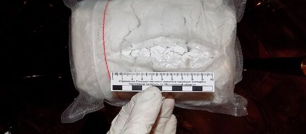 Следователи обнаружили и изъяли 3 килограмма психотропного вещества - Sputnik Беларусь