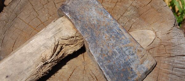 Топор, архивное фото - Sputnik Беларусь