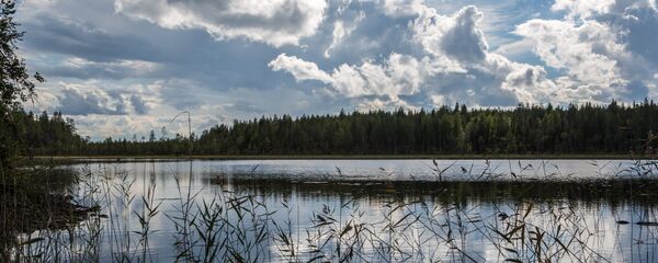 Озеро, архивное фото - Sputnik Беларусь