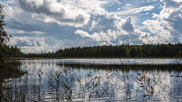 Озеро, архивное фото - Sputnik Беларусь