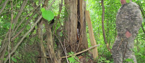 Тайник с ружьями - Sputnik Беларусь