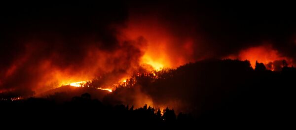 Лесной пожар в Португалии - Sputnik Беларусь