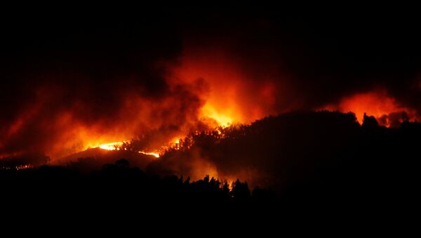 Лесной пожар в Португалии - Sputnik Беларусь