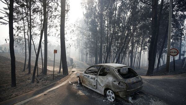 Автомобиль, сгоревший в результате лесного пожара в Португалии - Sputnik Беларусь