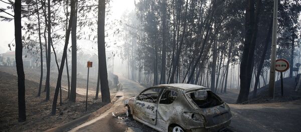 Автомобиль, сгоревший в результате лесного пожара в Португалии - Sputnik Беларусь