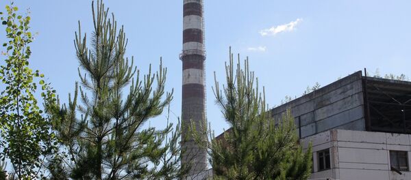 Труба с которой прыгали роупджамперы - Sputnik Беларусь