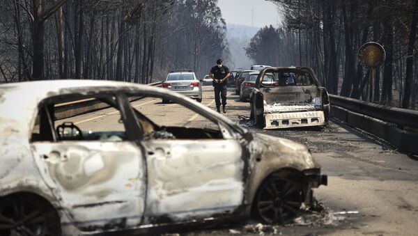 Сгоревшие машины в Португалии - Sputnik Беларусь