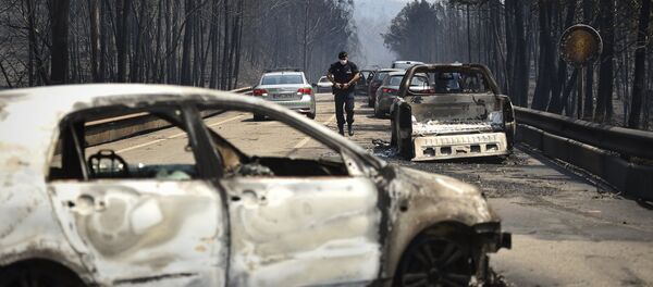 Сгоревшие машины в Португалии - Sputnik Беларусь