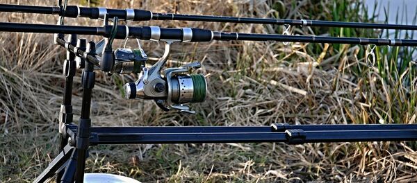 Вуды, архіўнае фота Вуды, архіўнае фота - Sputnik Беларусь