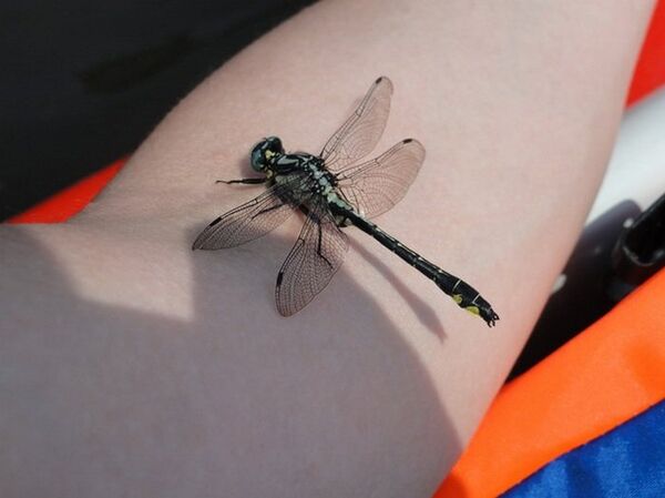 Путешествие на байдарке - это еще и возможность пообщаться с природой - Sputnik Беларусь