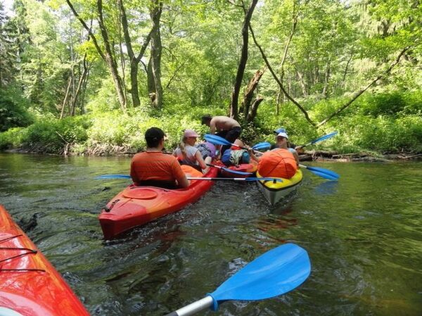 Белорусские реки совсем не страшные, зато очень живописные - Sputnik Беларусь