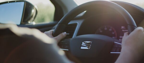 Водитель за рулем автомобиля, архивное фото - Sputnik Беларусь