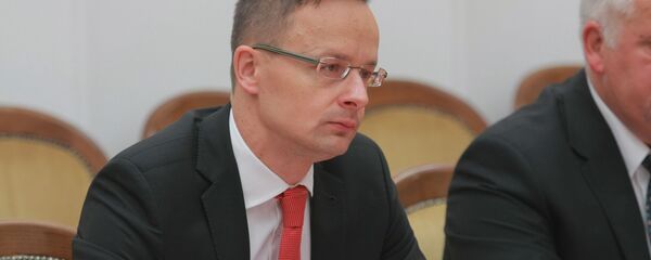 Министр иностранных дел и внешней торговли Венгрии Петер Сийярто - Sputnik Беларусь