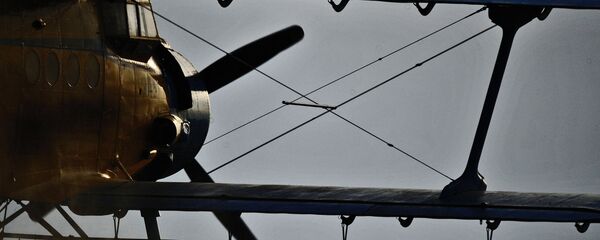 Самолет Ан-2, архивное фото - Sputnik Беларусь