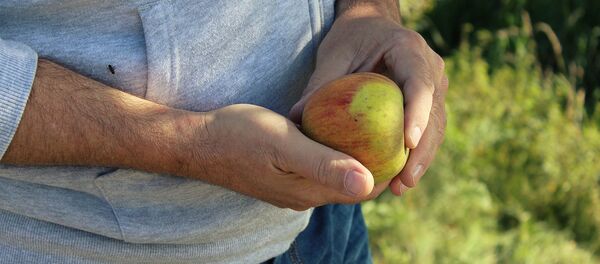 Наше здоровье во многом зависит от нашего питания - Sputnik Беларусь